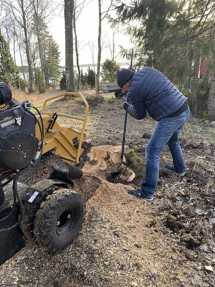 Peder Gustavsson Stubbfräsning borttagning stubbe