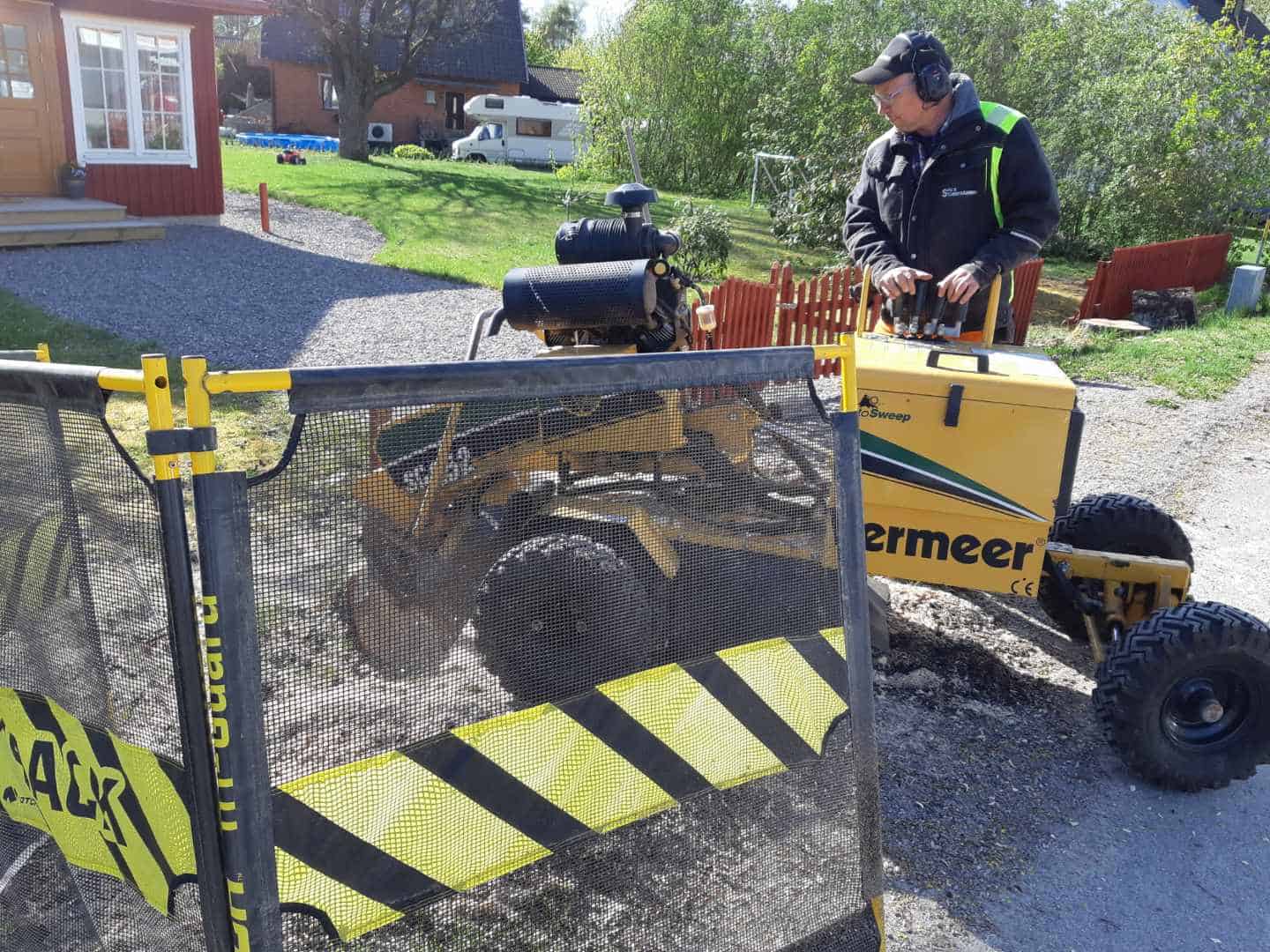 Peder Gustavsson Stubbfräsning med motorsåg för att fälla träd