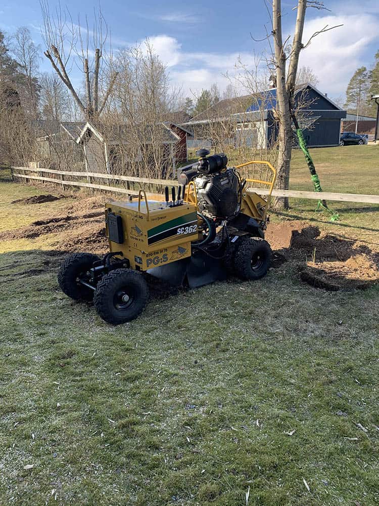 Peder Gustavsson Stubbfräsning borttagning stubbe
