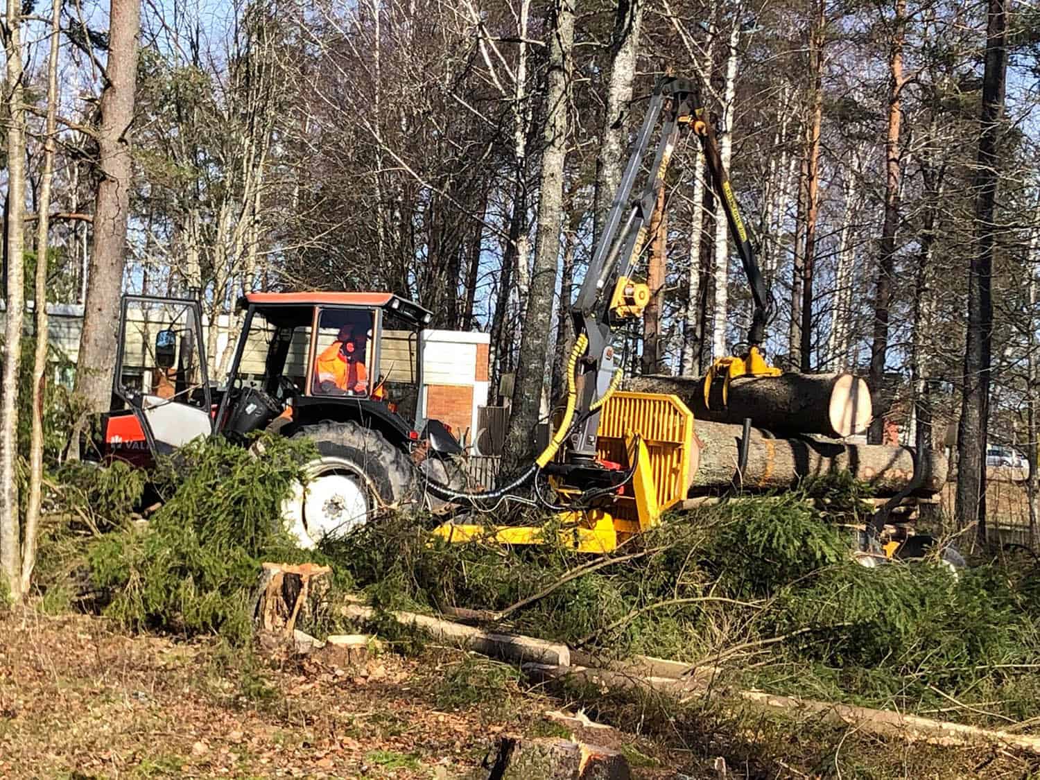 Peder Gustavsson Stubbfräsning bortforsling av kapade träd efter fällning