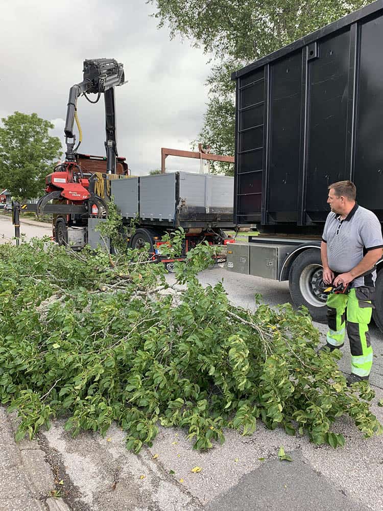 Peder Gustavsson Stubbfräsning bortforsling av fällt träd