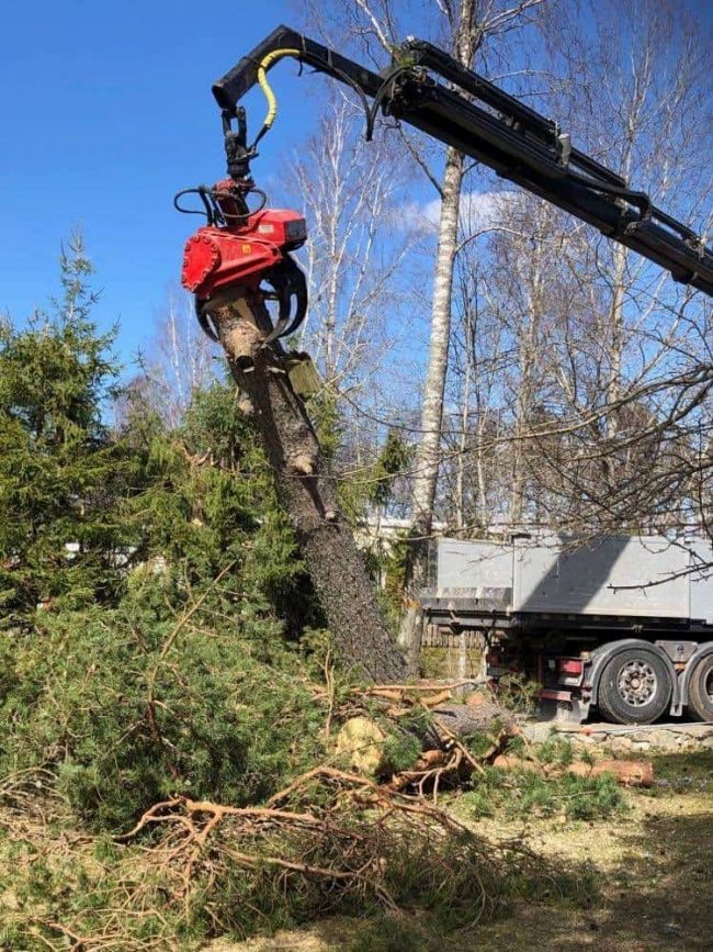 Peder Gustavsson Stubbfräsning kranbil för bortforsling träd vid trädfällning